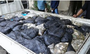 R2 million abalone confiscated